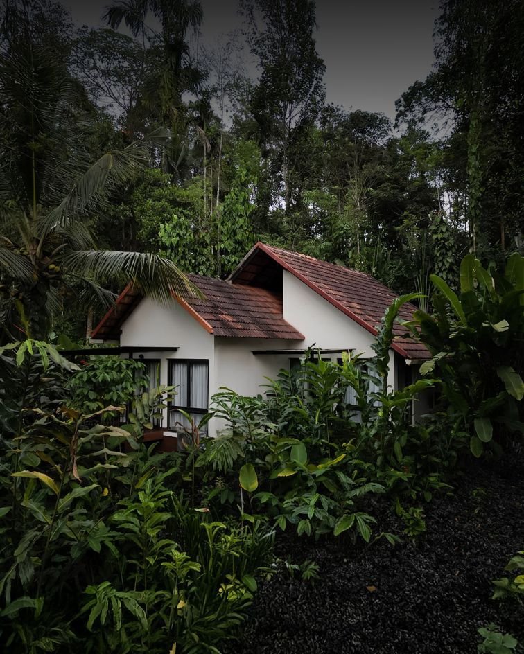 The retreat home in Dharamshala, photo 1